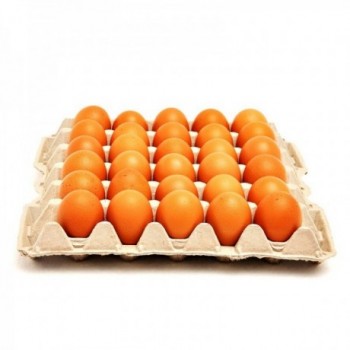 Huevos AA colorado panal x 30