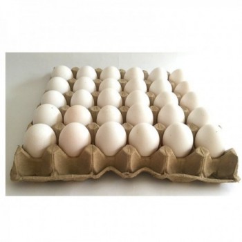 Huevos AAA blanco panal x 30